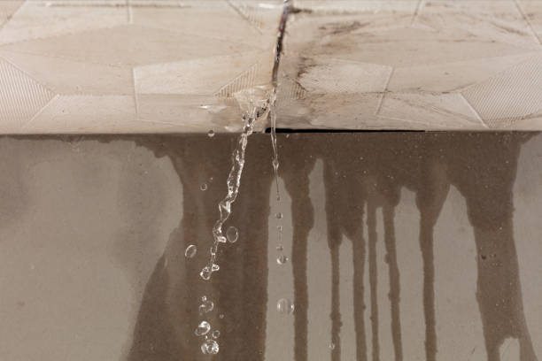Professional Water Damage Repair technician working in Haslett, MI
